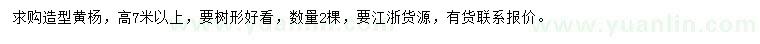 求購高7米以上造型黃楊