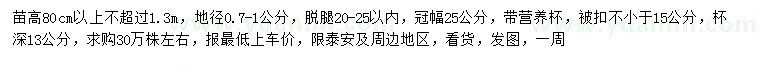 求購高80公分以上不超過1.3米側(cè)柏