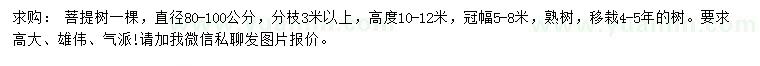 求購直徑80-100公分菩提樹