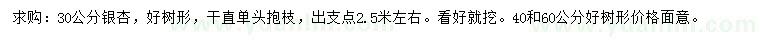 求購30公分銀杏