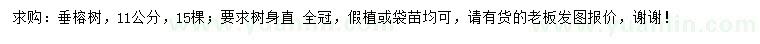 求購11公分垂榕樹