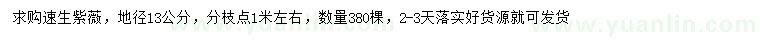 求購地徑13公分速生紫薇