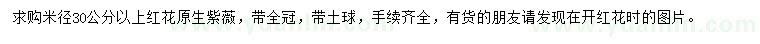 求購米徑30公分以上紅花原生紫薇
