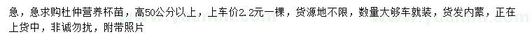 求購高50公分以上杜仲苗