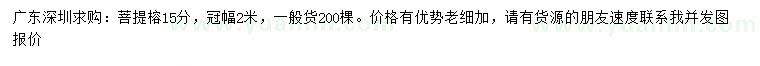 求購15公分菩提榕