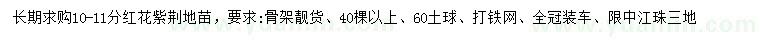 求購10-11公分紅花紫荊