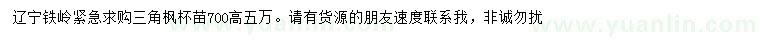求購高700公分三角楓苗