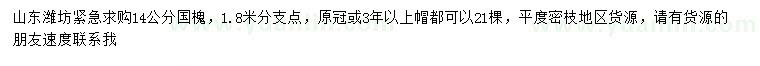 求購14公分國槐