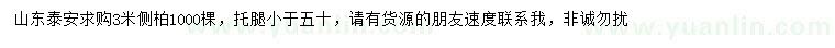 求購3米側(cè)柏