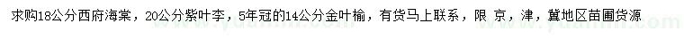 求購西府海棠、紫葉李、金葉榆