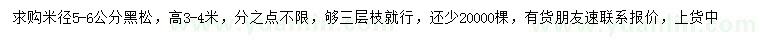 求購米徑5-6公分黑松