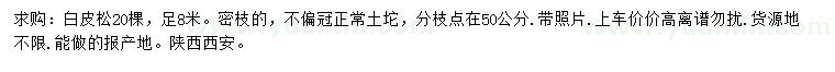 求購8米白皮松