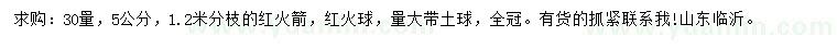 求購30量5公分紅火箭、紅火球