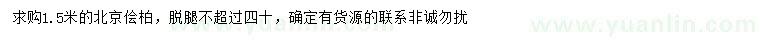 求購1.5米北京檜柏