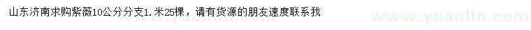 求購(gòu)10公分紫薇