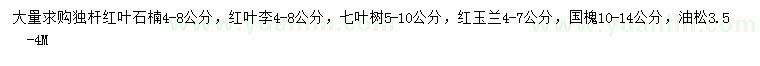 求購獨(dú)桿紅葉石楠、紅葉李、七葉樹等