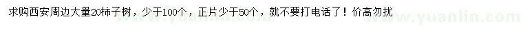 求購20公分柿子樹