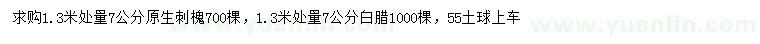 求購1.3米處量7公分原生刺槐