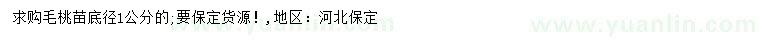 求購毛桃苗