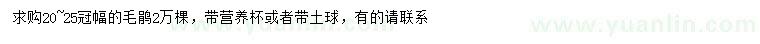 求購冠幅20-25公分毛鵑