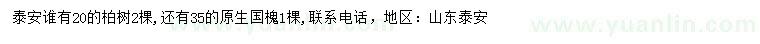 求購20公分柏樹、35公分原生國槐