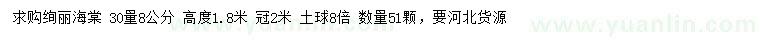 求購30量8公分絢麗海棠