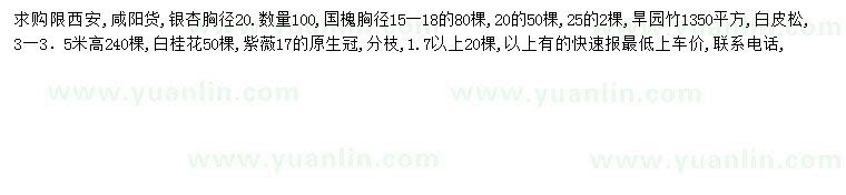 求購銀杏、國槐、旱園竹等