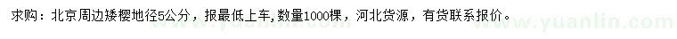 求購(gòu)地徑5公分矮櫻