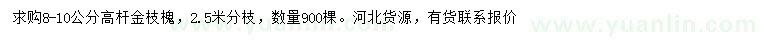 求購8-10公分高桿金枝槐