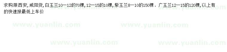 求購白玉蘭、紫玉蘭、廣玉蘭