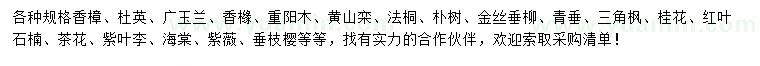 求購香樟、杜英、廣玉蘭
