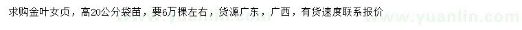 求購高20公分金葉女貞
