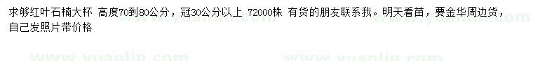 求購高70-80公分紅葉石楠