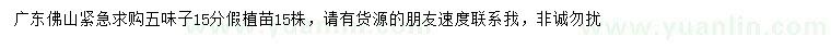 求購(gòu)15公分五味子假植苗