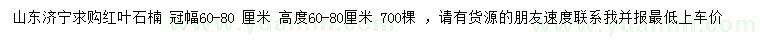 求購冠幅60-80公分紅葉石楠