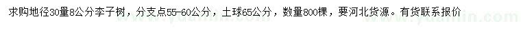 求購30量8公分李子樹