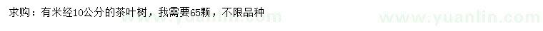 求購米徑10公分茶葉樹