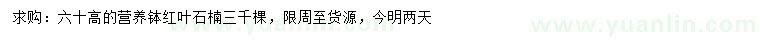 求購高60公分紅葉石楠