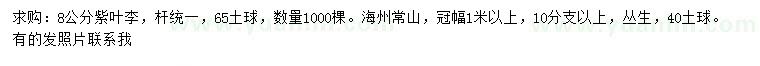 求購(gòu)8公分紫葉李