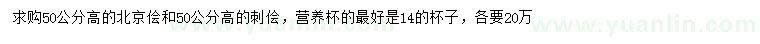 求購(gòu)高50公分北京儈、刺儈