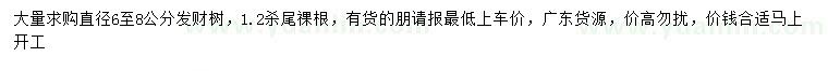 求購(gòu)直徑6-8公分發(fā)財(cái)樹(shù)