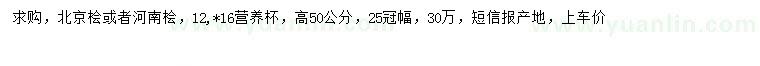 求購高50公分北京檜、河南檜