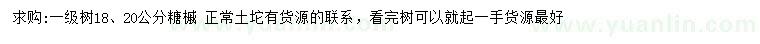 求購18、20公分糖槭