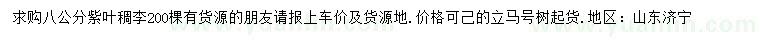 求購(gòu)8公分紫葉稠李