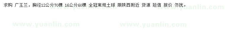 求購胸徑12、16公分廣玉蘭