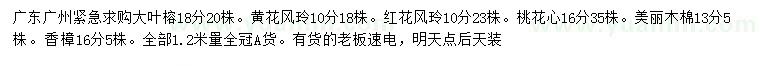 求購大葉榕、黃花風(fēng)玲、紅花風(fēng)玲等