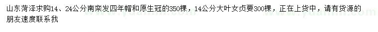 求購14、24公分南欒、14公分大葉女貞