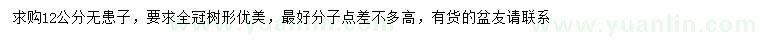 求購12公分無患子