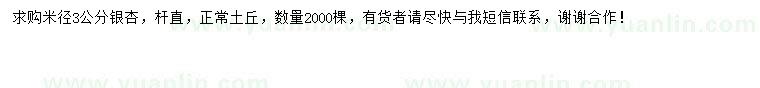 求購米徑3公分銀杏