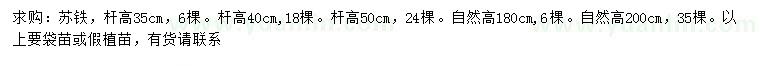 求購高35、40、50、180、200公分蘇鐵